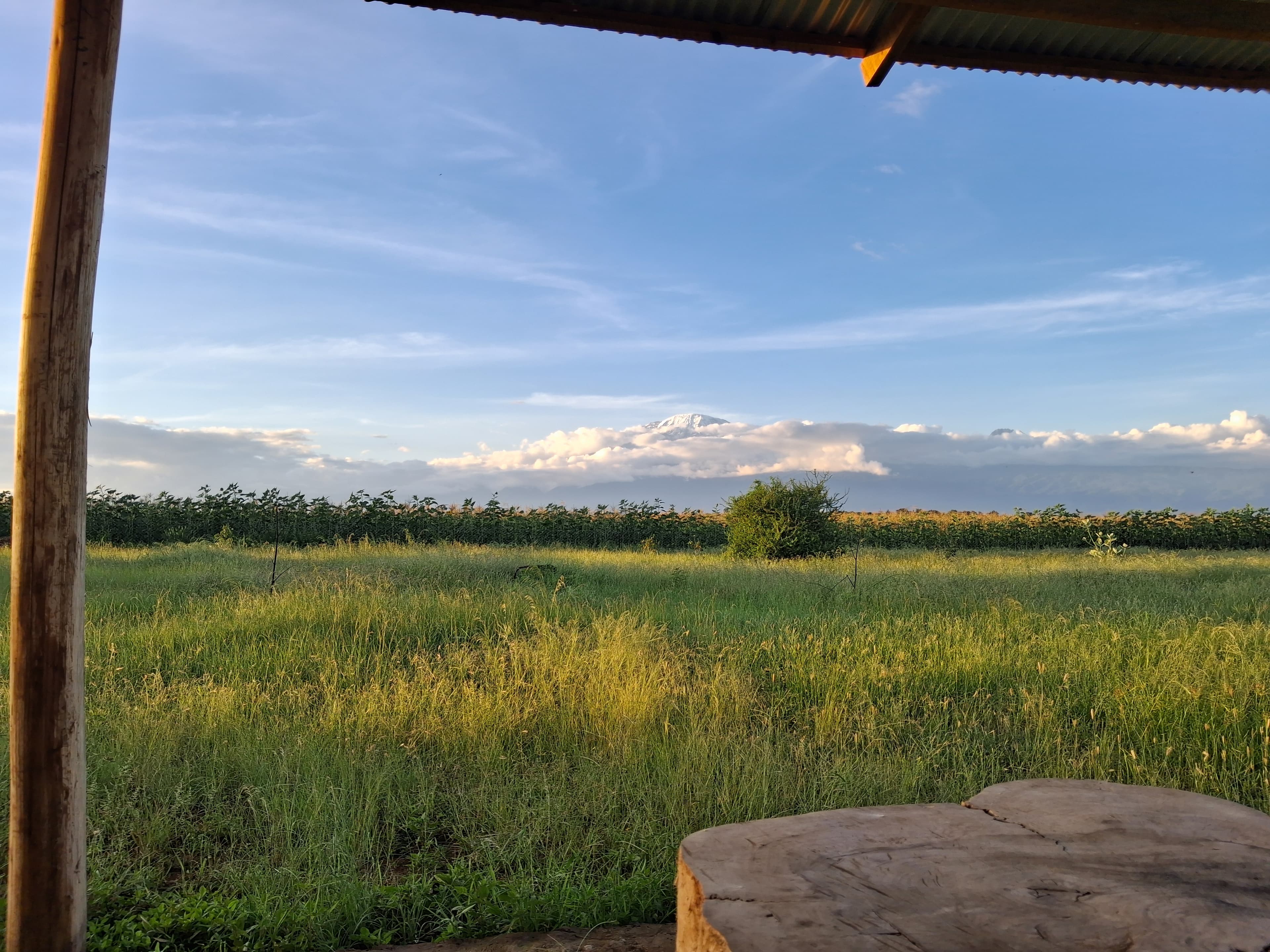Cycling & hiking path near Njiani