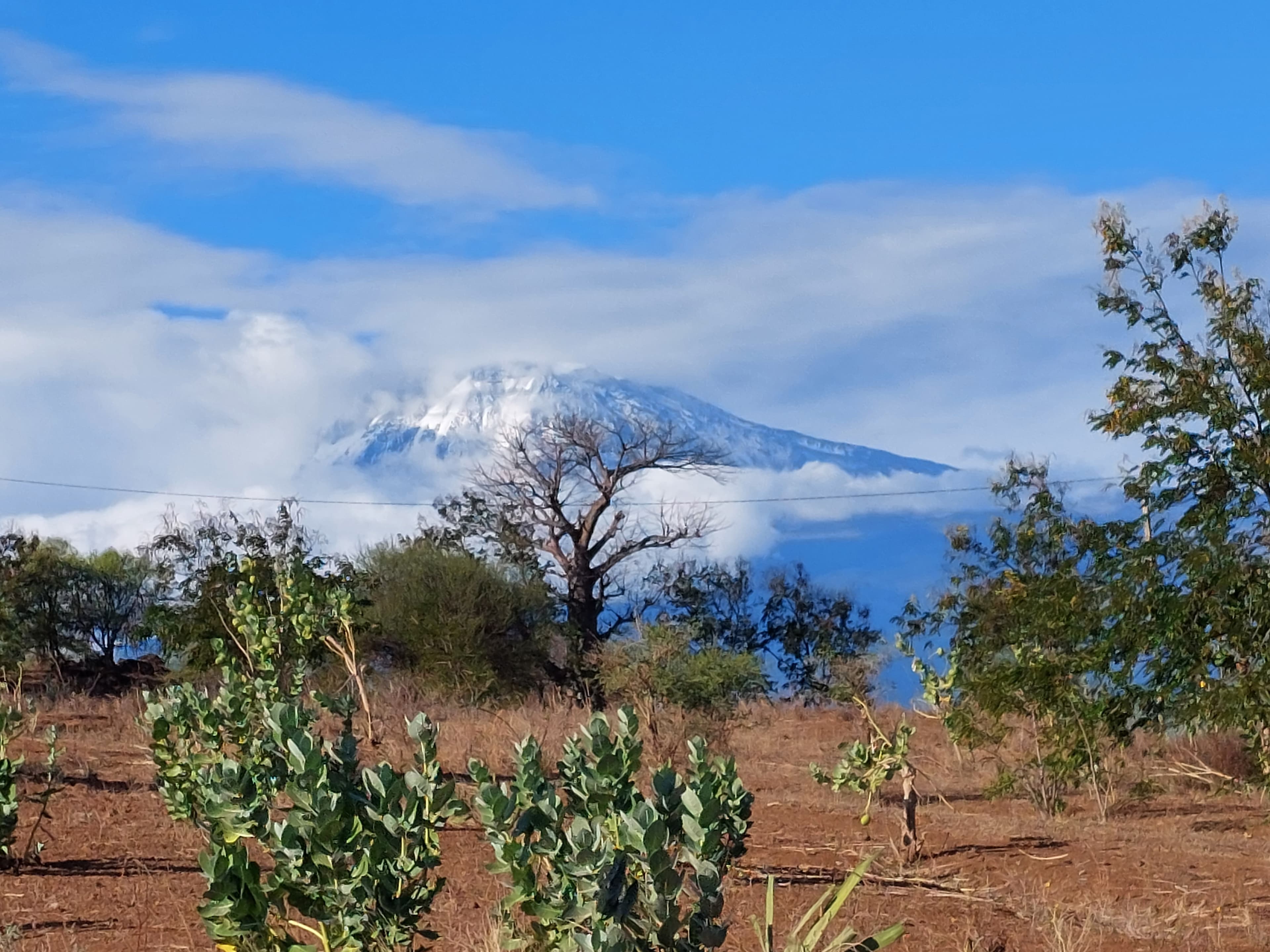 Kilimanjaro view and safari treks